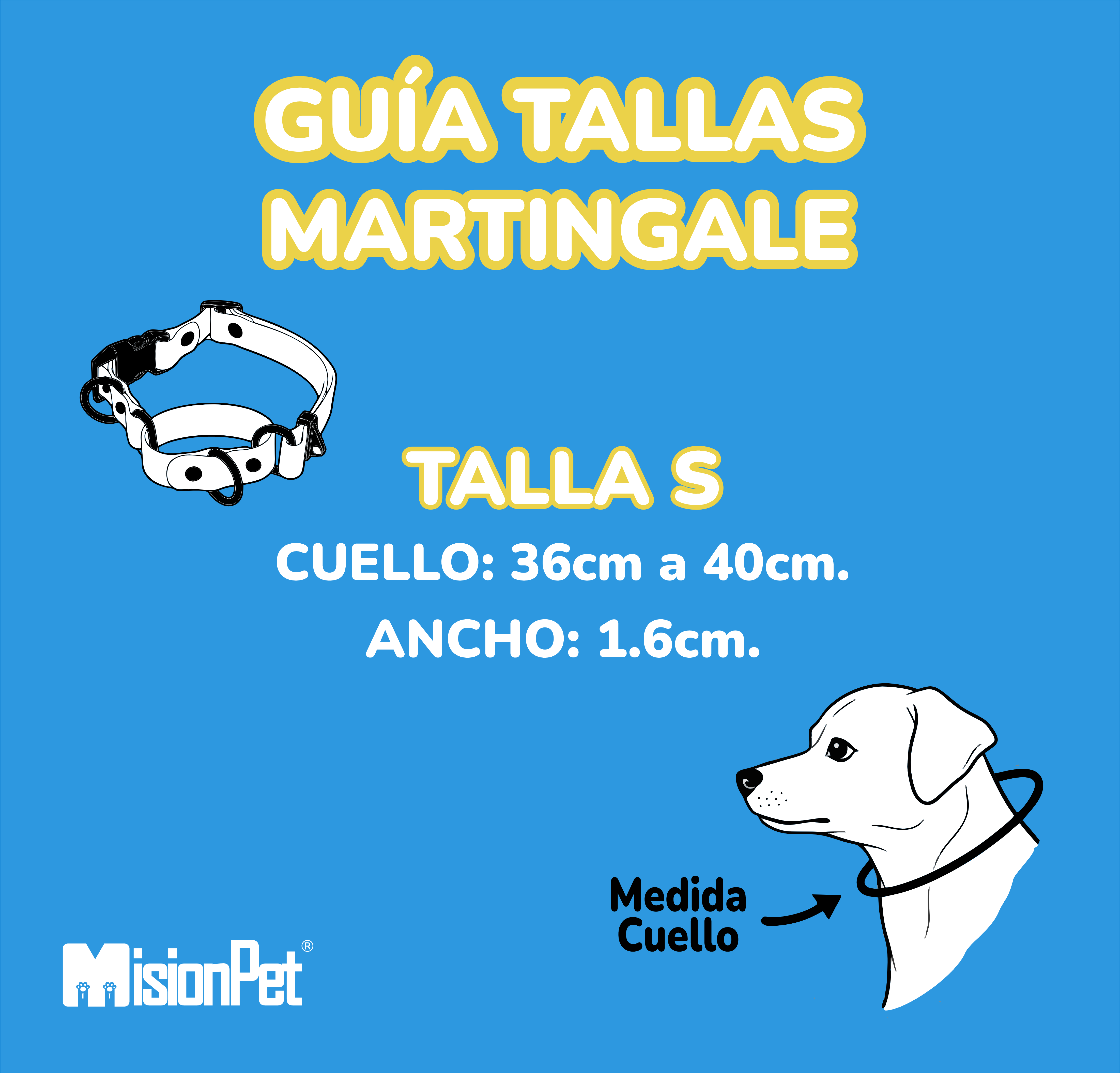Guía de Tallas