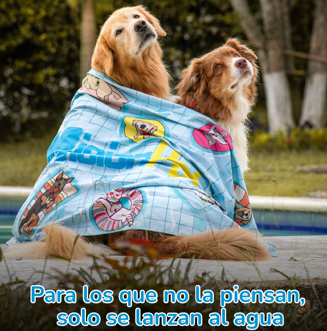 Toalla absorbente para mascotas ideal para secar los perritos