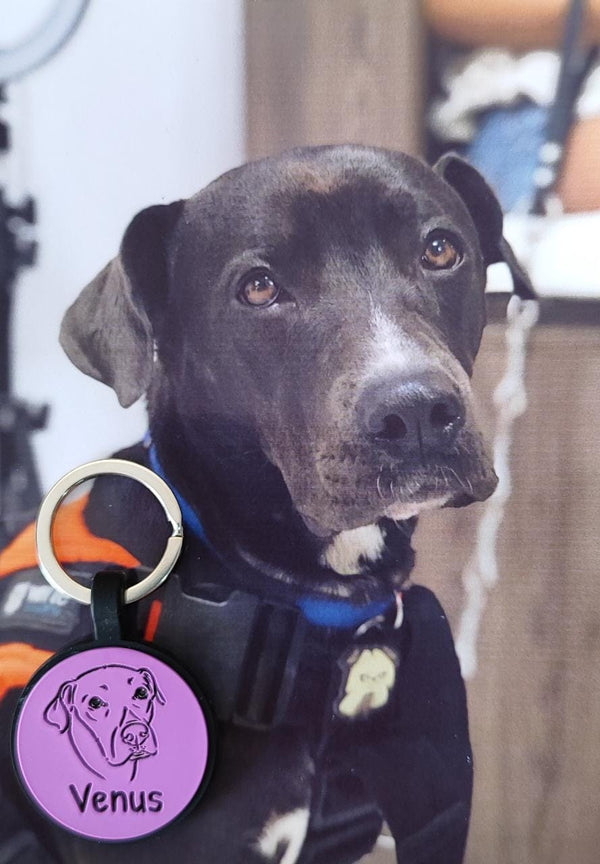 Placa con ilustración Circulo