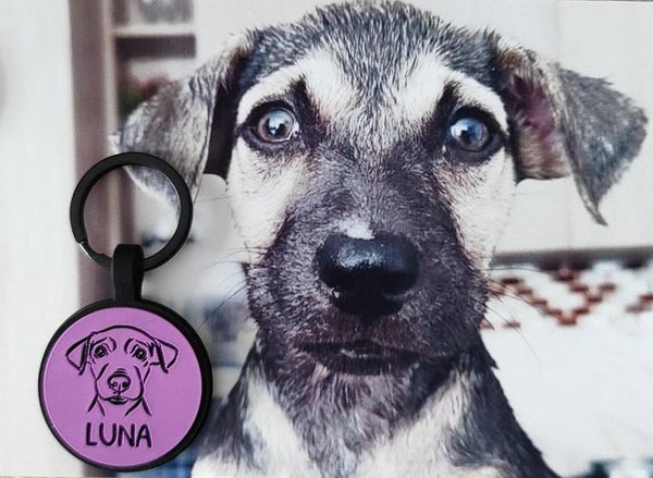 Placa con ilustración Circulo