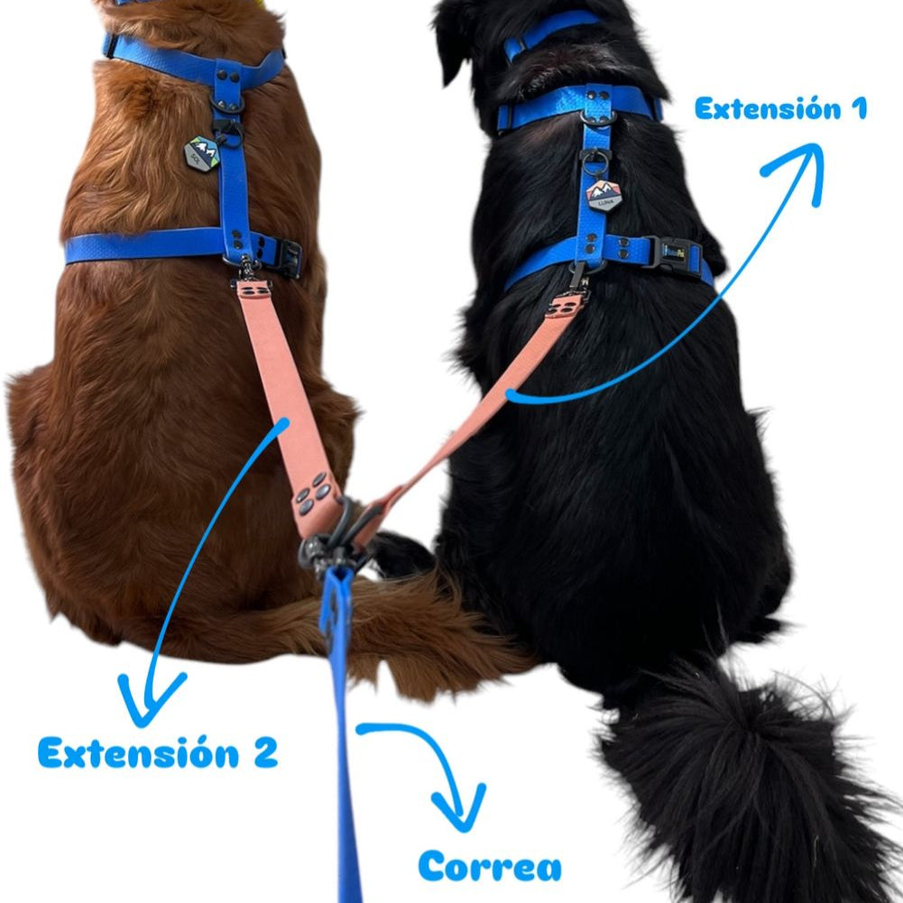 Correa Extensión
