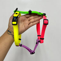Barrilete
