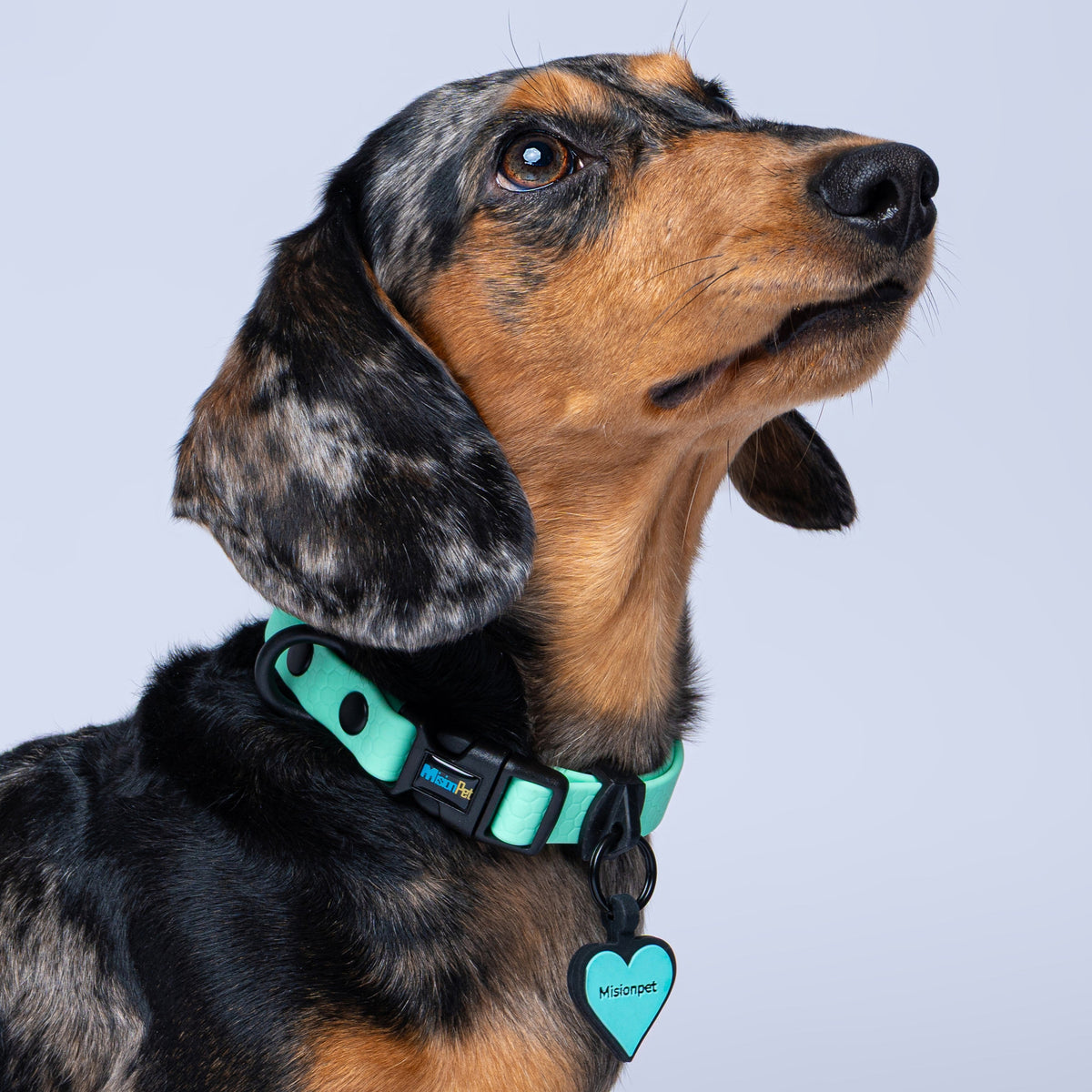 Collar (Pequeños)