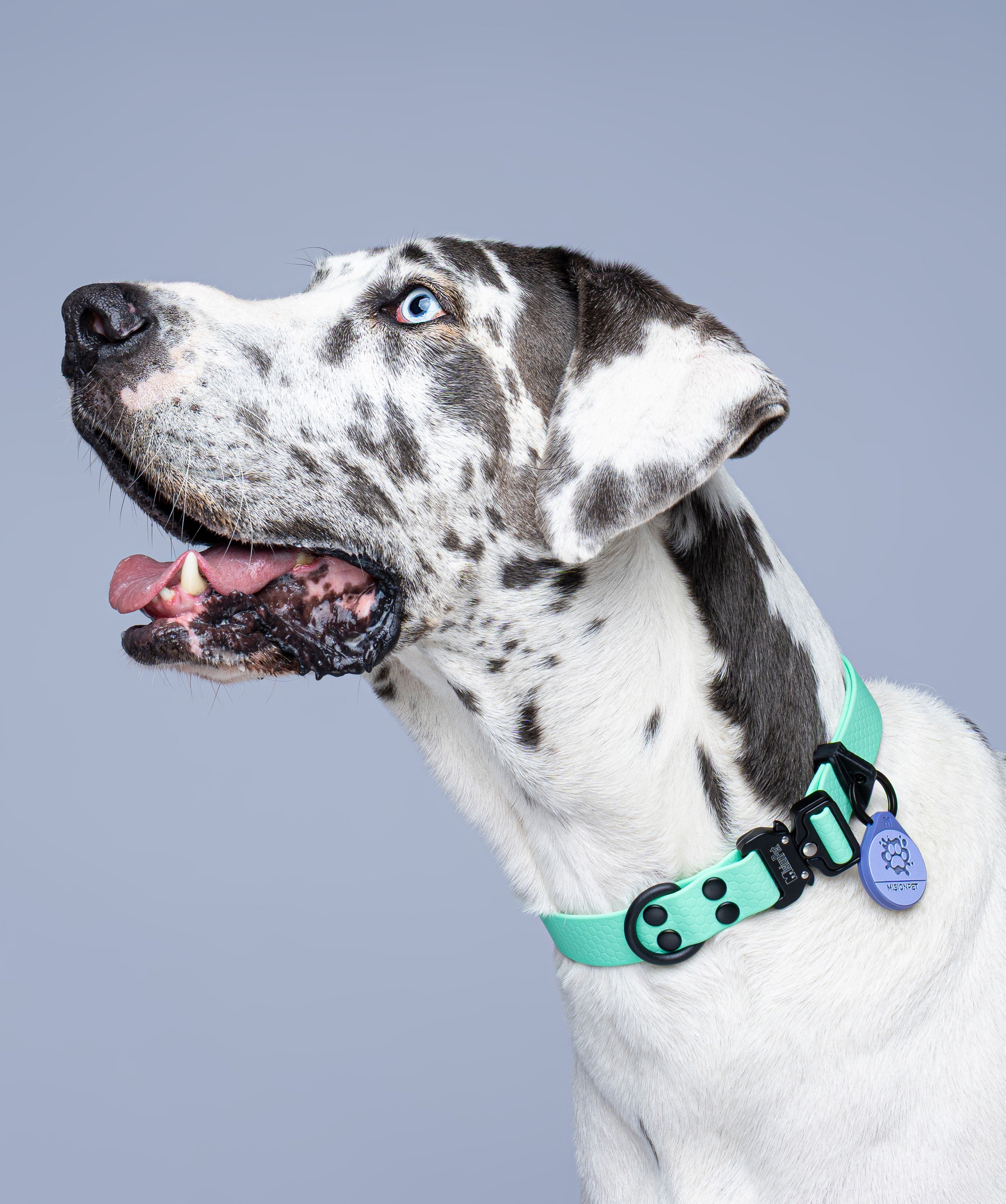 Collar (Extragrandes) <b>Colores Pastel</b>