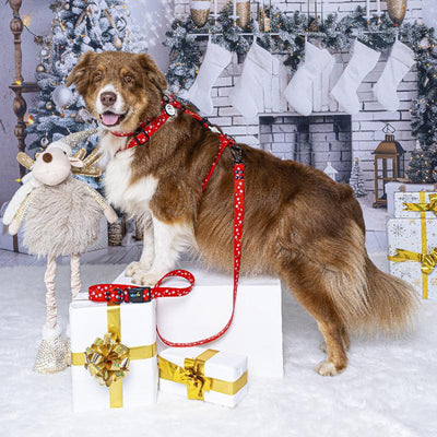 Combo <b>Navidad</b>         
2.5 cm de ancho